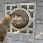 TREE GUARD