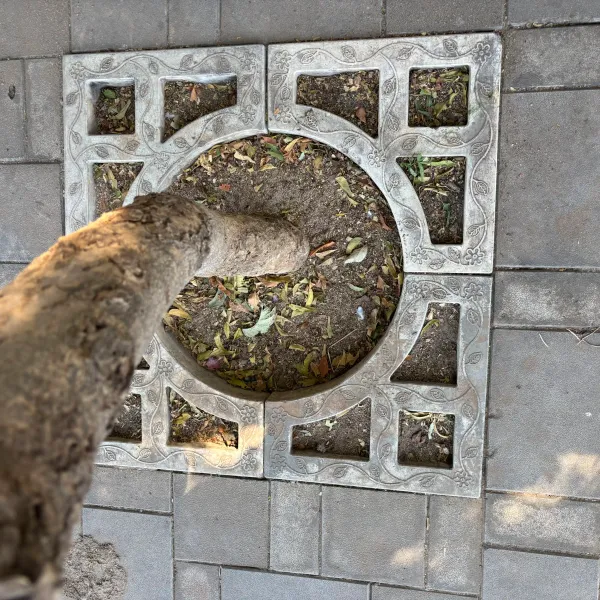 TREE GUARD