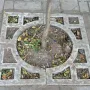TREE GUARD